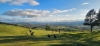 Results: Seniors Teams of 3 Open Stableford